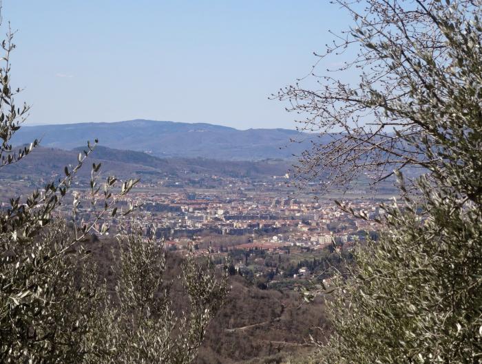 Foto Panoramica di Arezzo