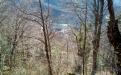 Badia Prataglia - Vista panoramica dal bosco