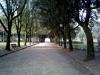 Passeggiata in centro ad Arezzo:Foto del viale del parco Il Prato di Arezzo visto dalla zona della Fortezza